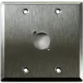 Whirlwind WP2 1NDH 2-Gang Wall Plate Punched for 1 Neutrik XLR Terminal Stainless Steel Finish