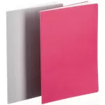 Hahnemuhle Sketch & Note Booklet Bundle Laurier and Fuchsia Covers A6 20 Sheets Each