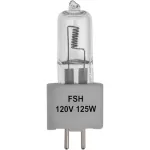 Impact FSH FSH Lamp 125W 120V