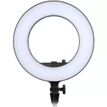 Godox LR180 Daylight Ringlight (Black)