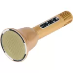 VocoPro CarryOkeBell  Bluetooth Karaoke Microphone with Speaker