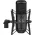 Senal SCM660 LargeDiaphragm MultiPattern Condenser Microphone